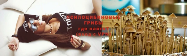 герыч Алзамай