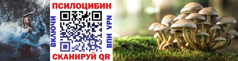 darknet наркотические препараты  Болхов  Галлюциногенные грибы прущие грибы 